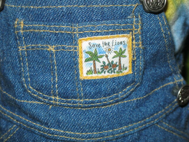 File:EarthDayFront Patch.jpg