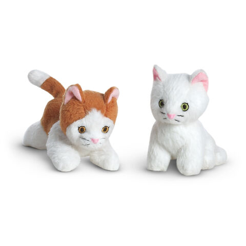 File:BeccasKittens.jpg