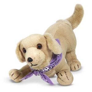Sandydog