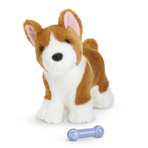 File:CorgiPuppy2014.jpg