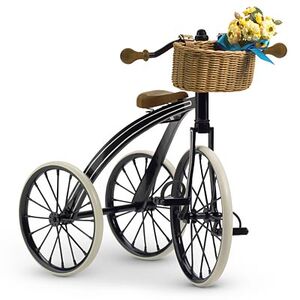 Samantha3WheelBicycle