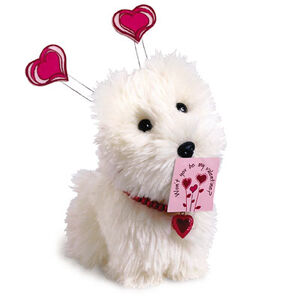 CoconutValentineAccessories