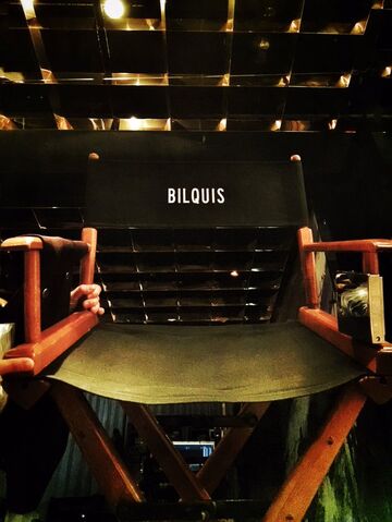 File:Bilquis chair.jpg