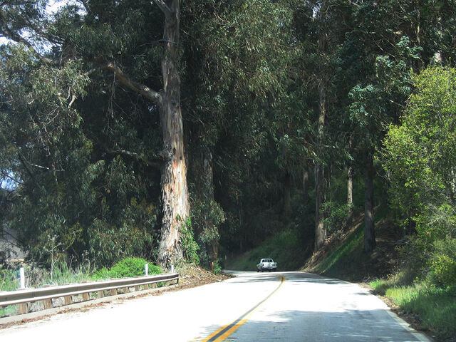 File:Ca-001 nb oceano 35.jpg