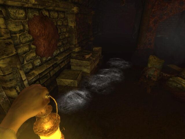 Plik:Amnesia2010090317090568.jpg