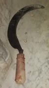 Shravan Kanat sickle