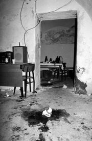Vinko Palic crime scene