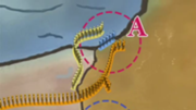 La estrategia de Shikaku.png