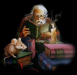 Moreusico reading