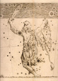 Uranometria orion