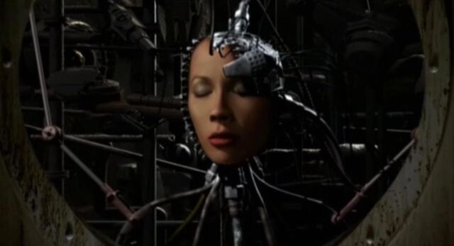 File:New Bitmap Image.jpg