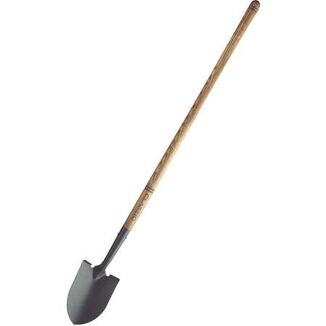 Lhs