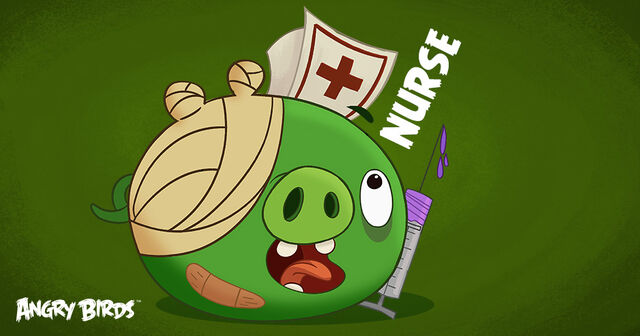 File:ABCareerTest (Minion Pig 2).jpg