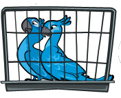 Plik:BLuJewelCage.jpg