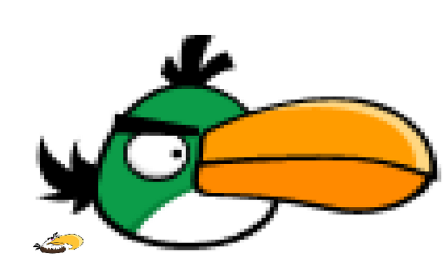 File:Mighty boomerang bird.png