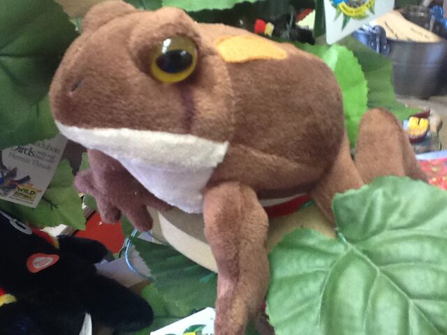 File:Rob biting frog.jpeg