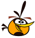 Orange bird rip