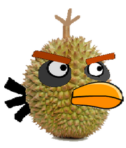 Durian Bird