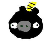 Bomb Pig