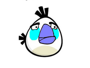 Winter birdie