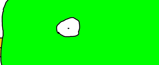 Big bird 1