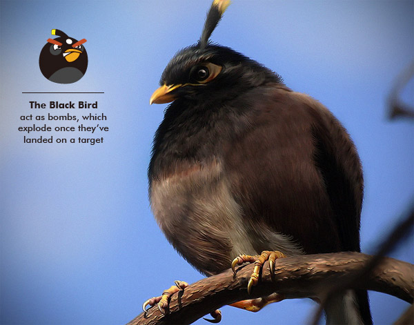 File:Real Blacky.jpg