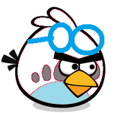 White Goggle Bird