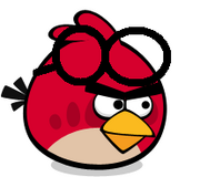 Goggle Bird 2