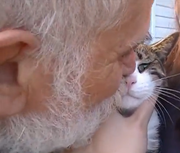 CAT2