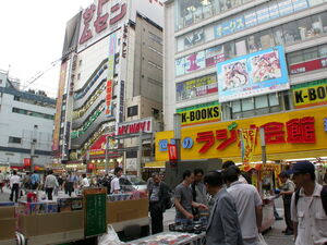 Akihabara picture.jpg