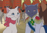 Neko No Ongaeshi Lune & Yuki.jpg