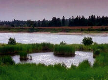 Lakeofshiningwaters.jpg