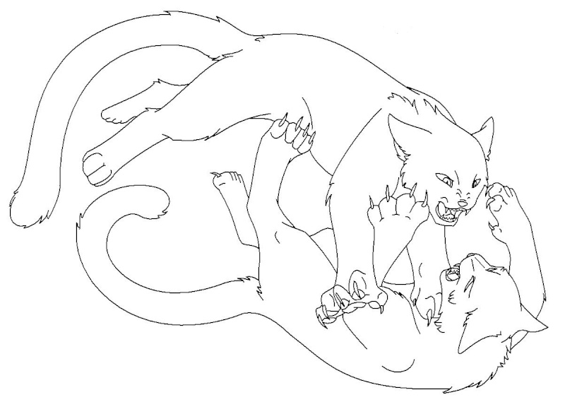 Download Image - Fbhfh10.jpg | Animal Jam Clans Wiki | FANDOM powered by Wikia