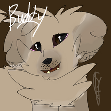 -GIFT-Buddy