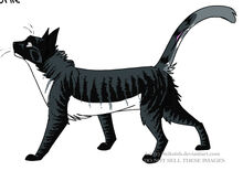 Brokenstar