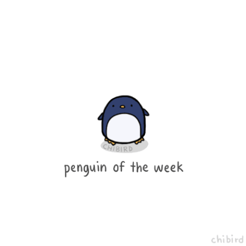 File:Tumblr nm41m3nn1I1u69t8io1 500.gif