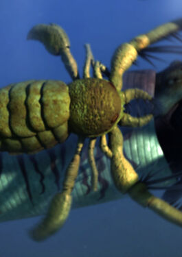 Eurypterid