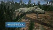 Proterosuchus animal armageddon