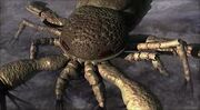 Pterygotus animal armageddon