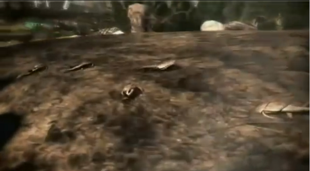 File:Dyingfishies.png