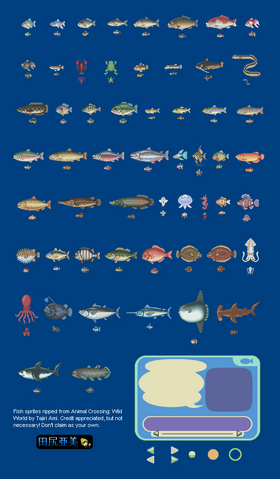 File:ACWWFISH.png