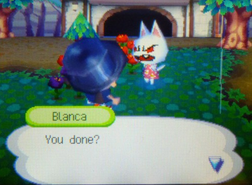 Blanca | Animal Crossing Wiki | FANDOM powered by Wikia