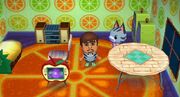 Casa wii.jpg