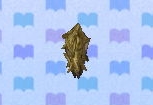 Bagworm encyclopedia (New Leaf)