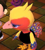 Phoebe | Animal Crossing Wiki | FANDOM powered by Wikia