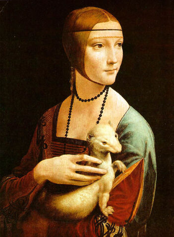 File:Ermine.jpg