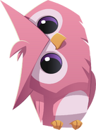 Animal Jam Owl Animal Jam Owl