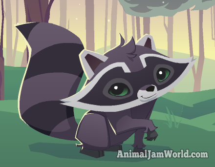 File:Raccoon Animal jam.png