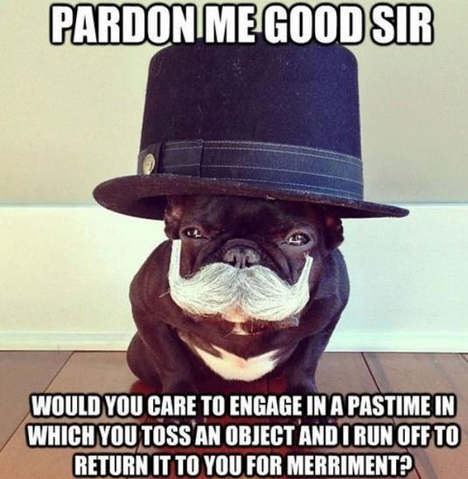 File:Pardonmegoodsir.png