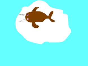 Animaljam Walrus